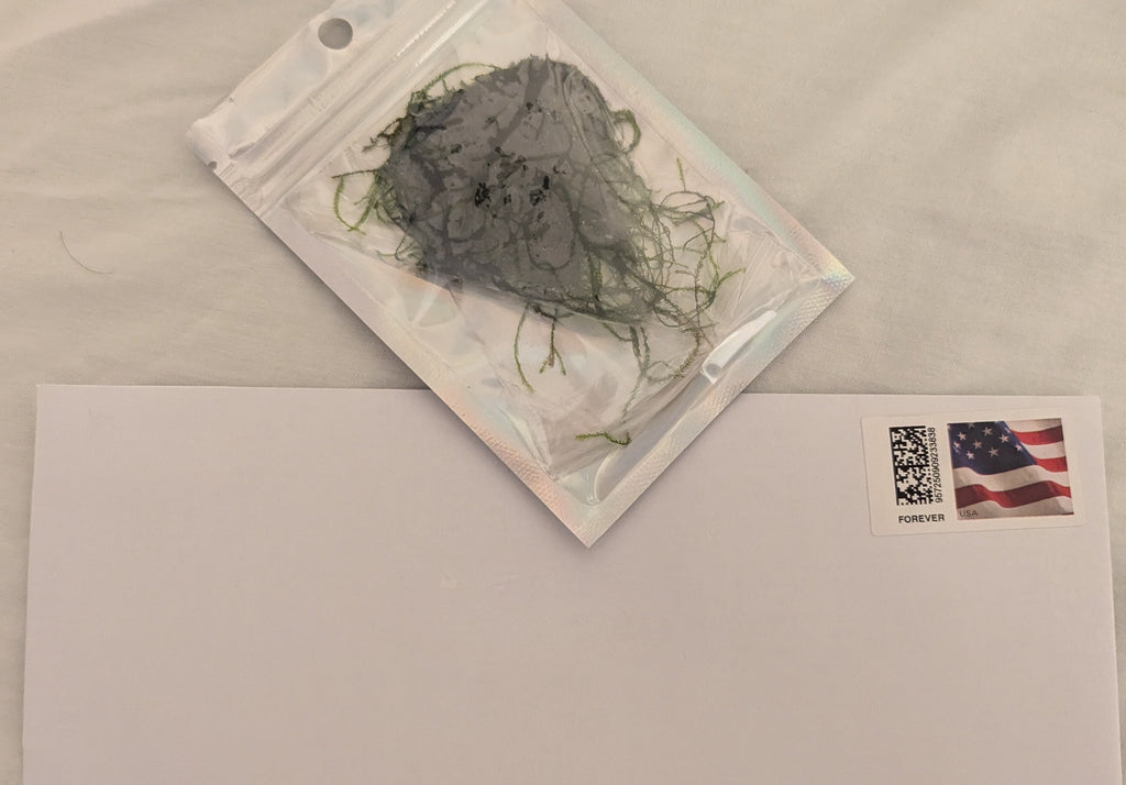 Java Moss Portion FREE UNTRACKED SHIPPING
